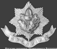 cheshire regiment cap badge